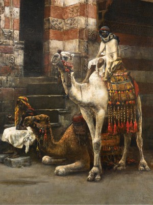 Camels on Cairo street
